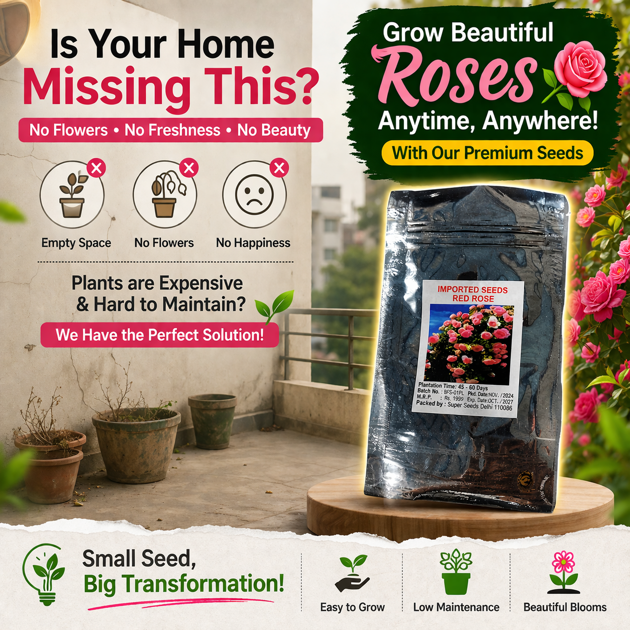 🌸 Elegant Climbing Rose Flower Seeds🌿Any Place, Any Season Blooming Garden