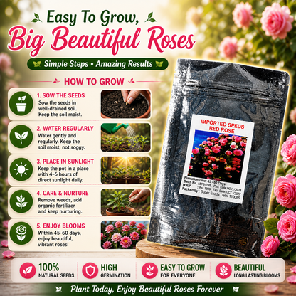 🌸 Elegant Climbing Rose Flower Seeds🌿Any Place, Any Season Blooming Garden