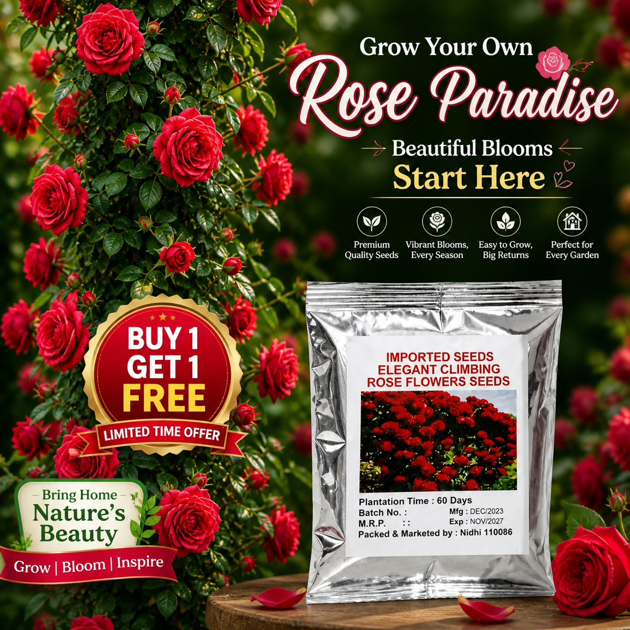 🌸 Elegant Climbing Rose Flower Seeds🌿Any Place, Any Season Blooming Garden