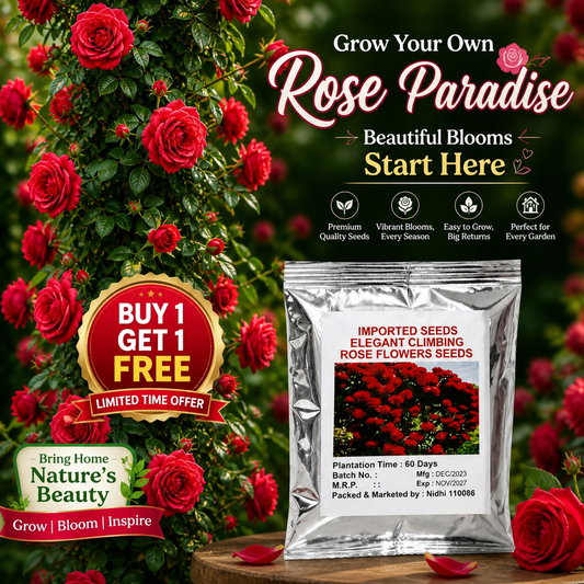 🌸 Elegant Climbing Rose Flower Seeds🌿Any Place, Any Season Blooming Garden
