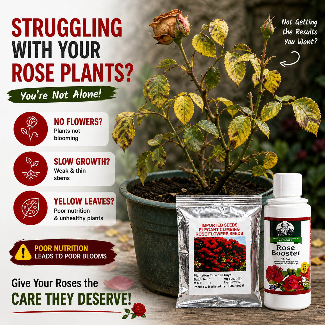 🌿Rose Booster Liquid Plant Food + 🌹Climbing Rose Seeds Combo