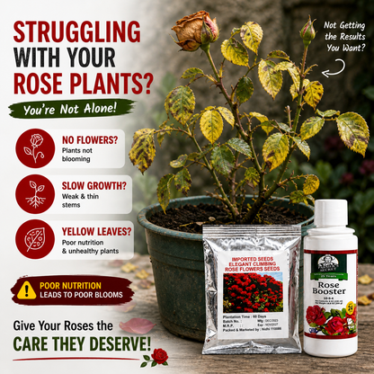 🌿Rose Booster Liquid Plant Food + 🌹Climbing Rose Seeds Combo