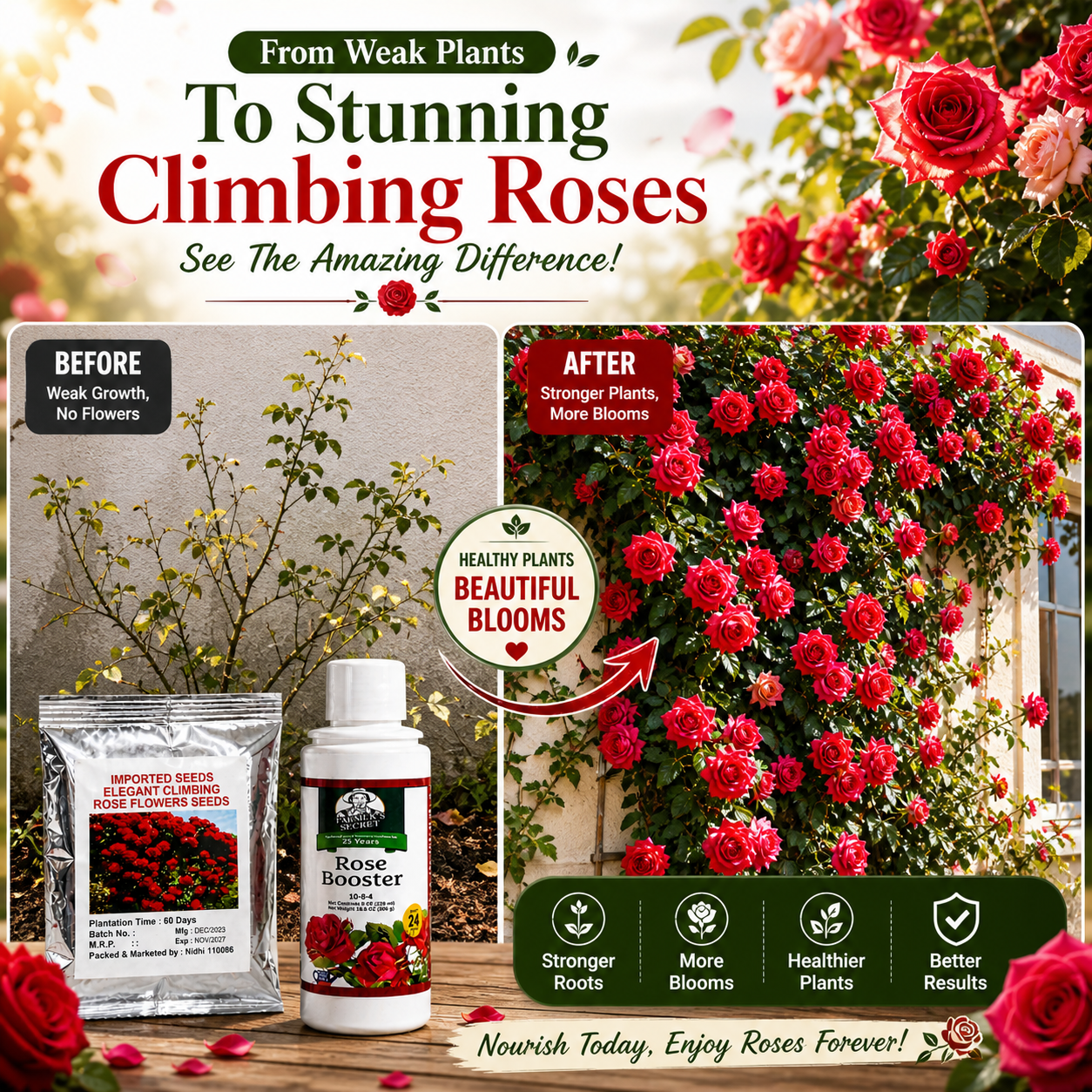 🌿Rose Booster Liquid Plant Food + 🌹Climbing Rose Seeds Combo